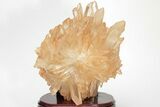 Tangerine Quartz Crystal Cluster with Wood Base - Madagascar #205883-1